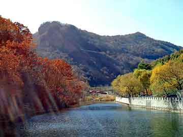 管家婆黑白马报图库，头型鸽